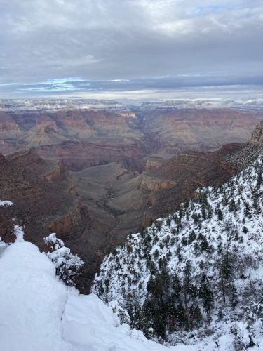 IMG_3223