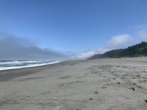 IMG_3942