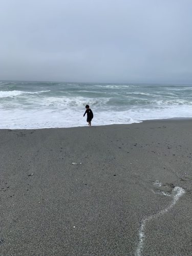 IMG_3950