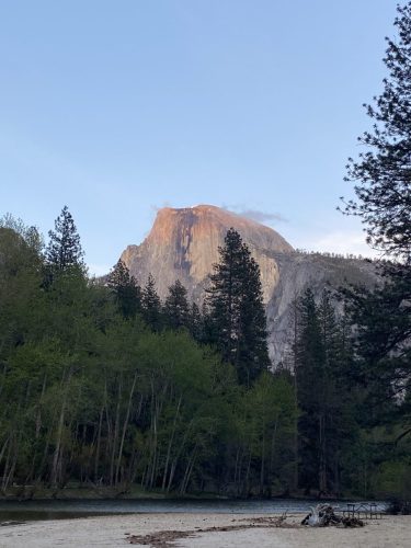 IMG_8804