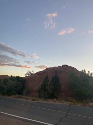 IMG_8997